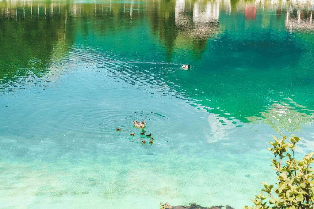 Lago di Valbione in estate